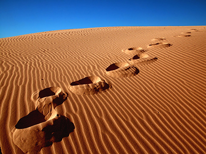 Footprints in the warm sand.